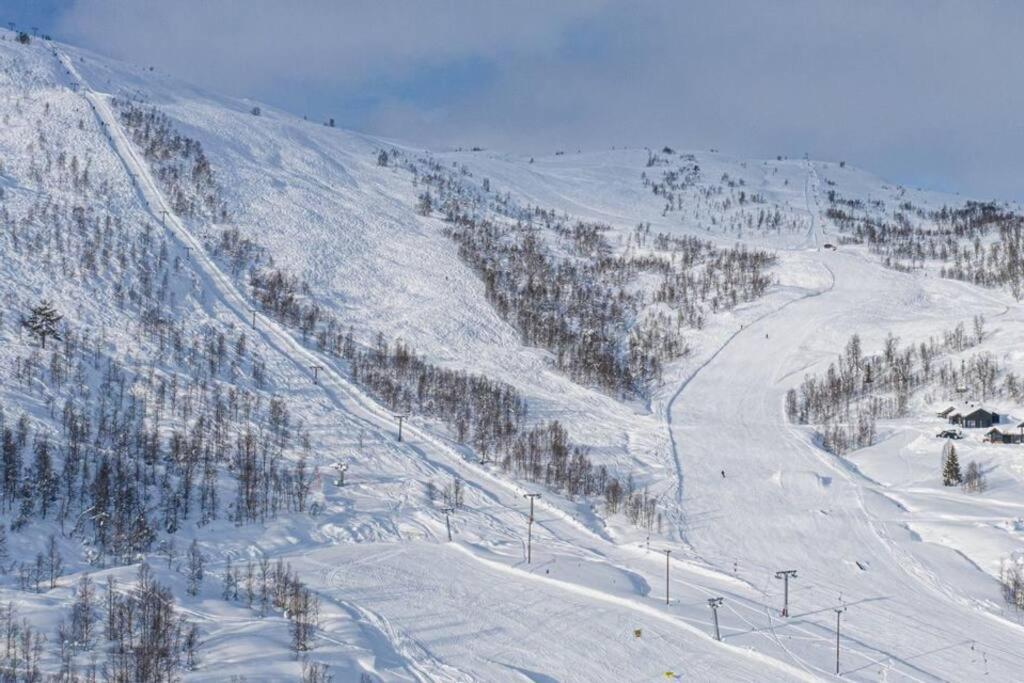 Leilighet - Panorama View - Sogndal Skisenter Hodlekve Lejlighed Eksteriør billede