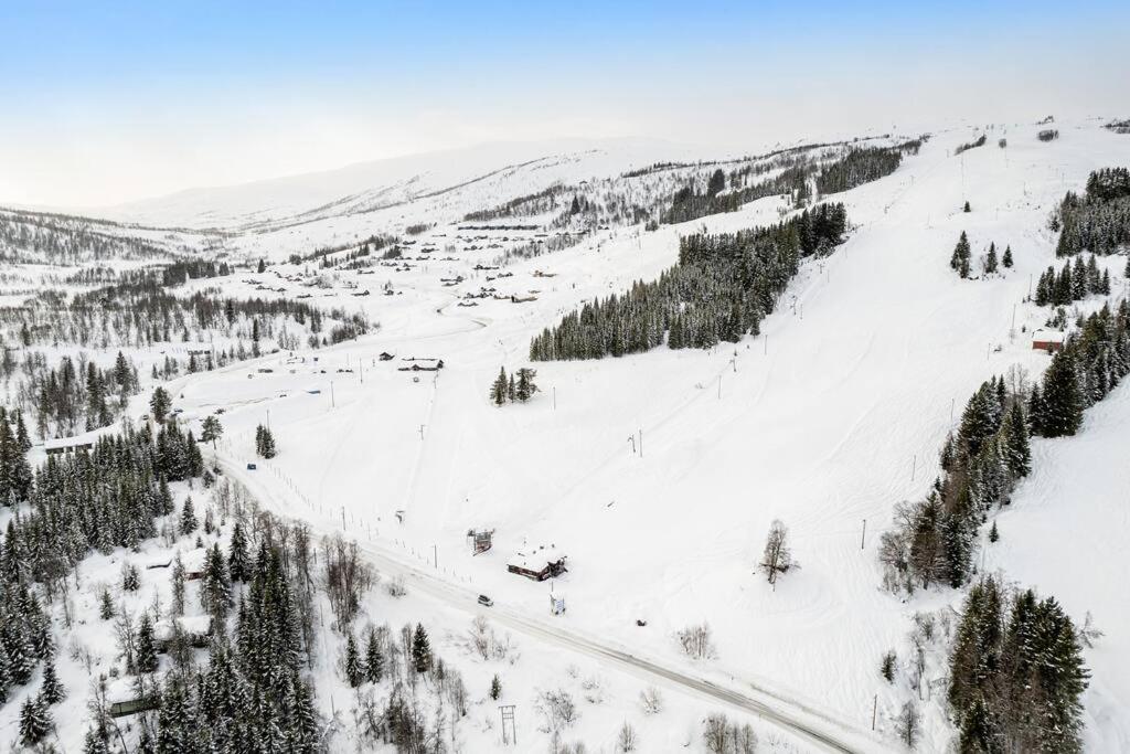 Leilighet - Panorama View - Sogndal Skisenter Hodlekve Lejlighed Eksteriør billede